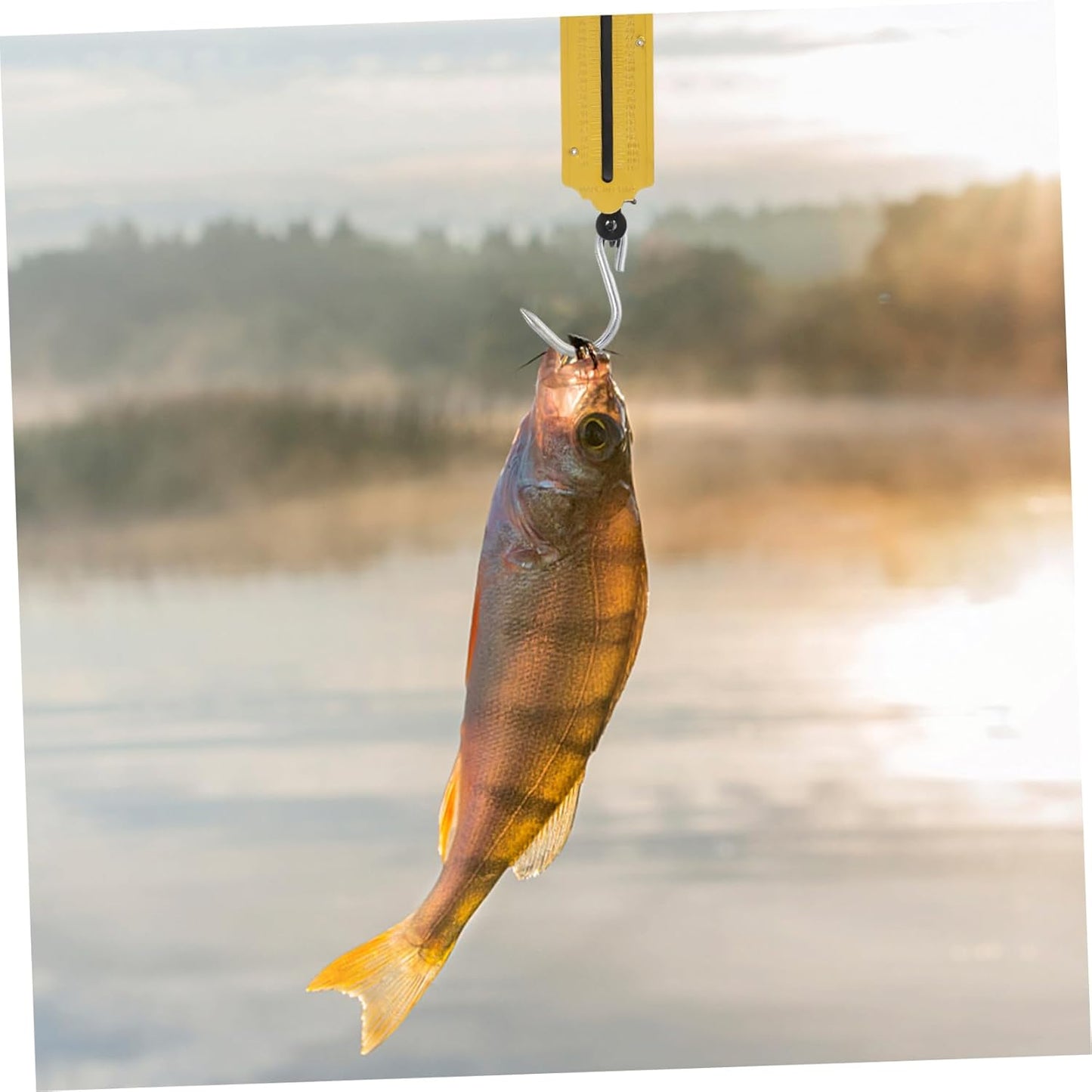 2pcs Dial Weight Scale Mechanical Scale Hook Capacity for Luggage Produce and Outdoor Weighing