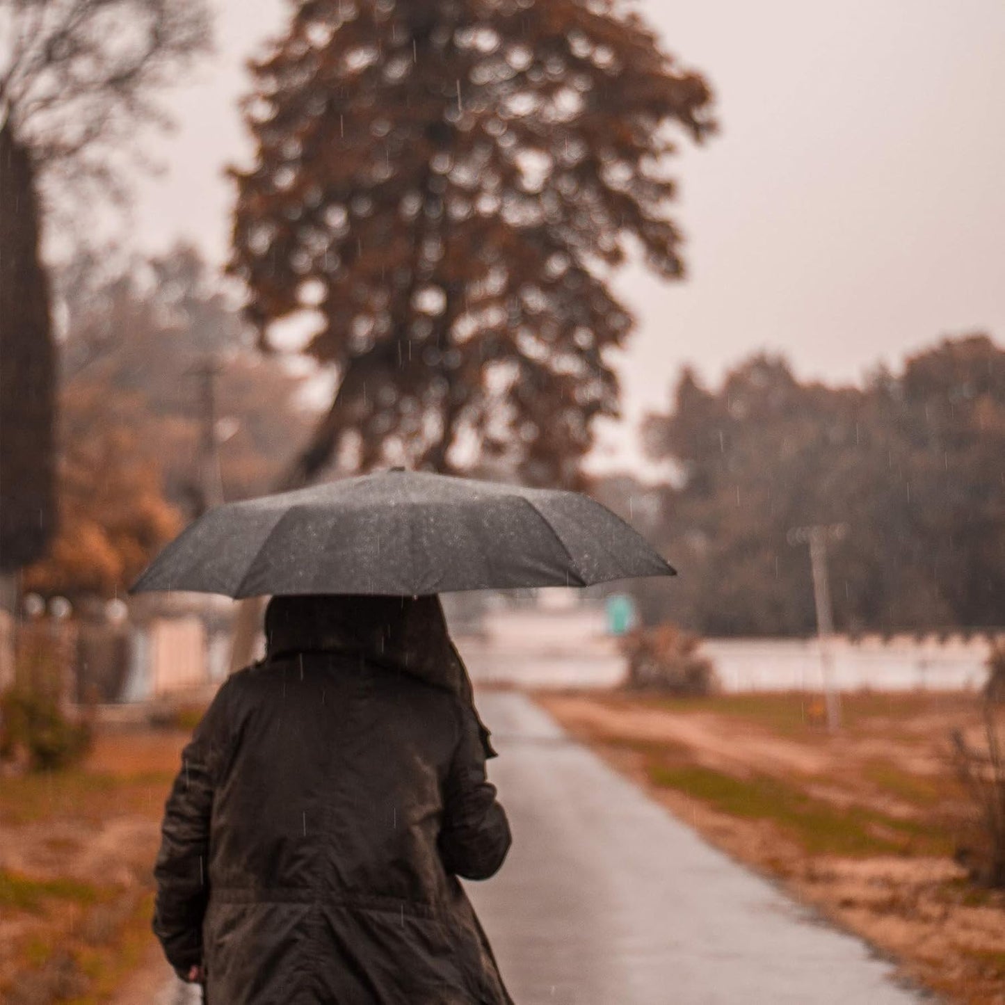 PFFY 2 Packs Travel Umbrella Windproof Auto Open & Close Collapsible Folding Small Compact Backpack Car travel Essentials Purse Umbrellas for Rain