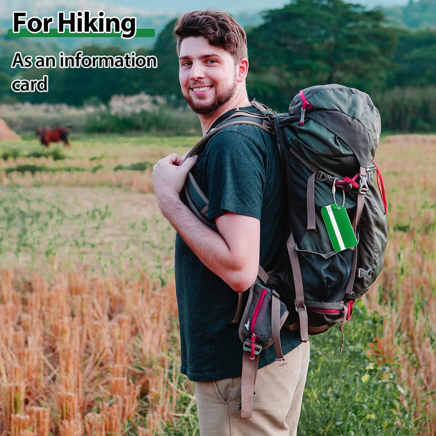 12 Pieces Luggage Tags Business Card Holder Aluminum Metal Travel ID Bag Tag for Suitcases Travel Luggage Baggage Identifier(Green)