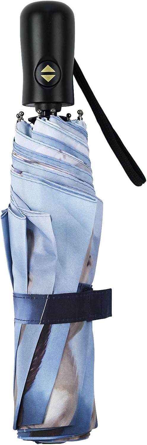 Galleria's Folding Umbrella Prints