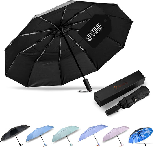 DryDay Travel Umbrellas for Rain - Large Windproof Double Canopy Umbrella, 10 Durable Ribs, Strong Frame, Auto Open Close Ergonomic Handle, Compact Waterproof Umbrella for Women & Men