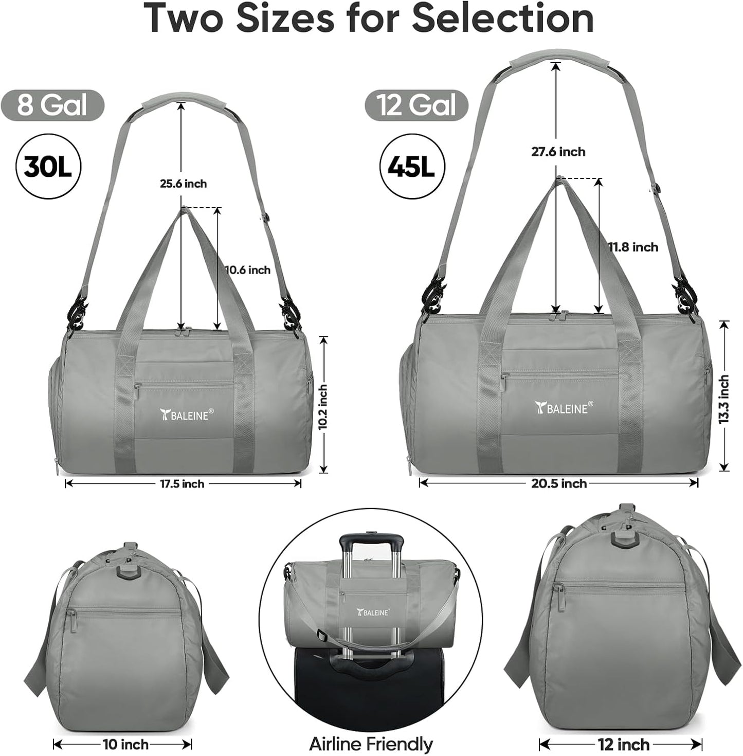 BALEINE Gym Bag for Women and Men, Small Duffel Bag for Sports, Gyms and Weekend Getaway, Waterproof Dufflebag with Shoe and Wet Clothes Compartments, Lightweight Carryon Gymbag (Silver)