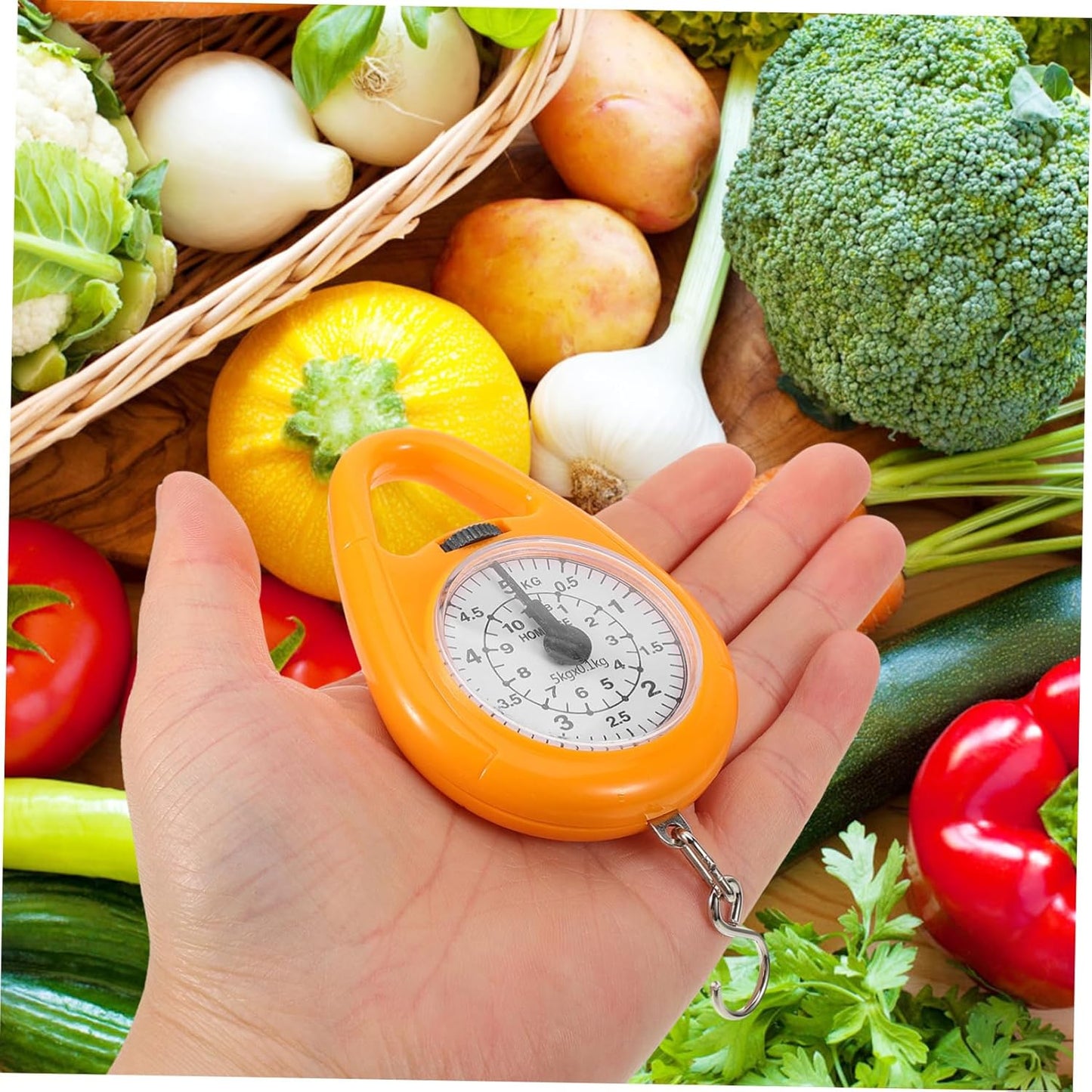 Mini Spring Balance Scale Luggage Scale for Travel Portable Design and Built Hook for Accurate Measurement